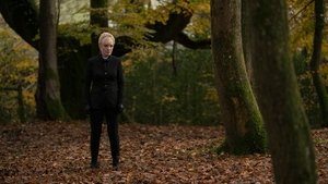 A Discovery of Witches: 1×5