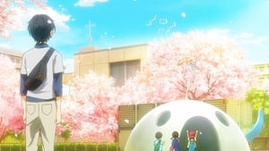 Your Lie in April: 1×1